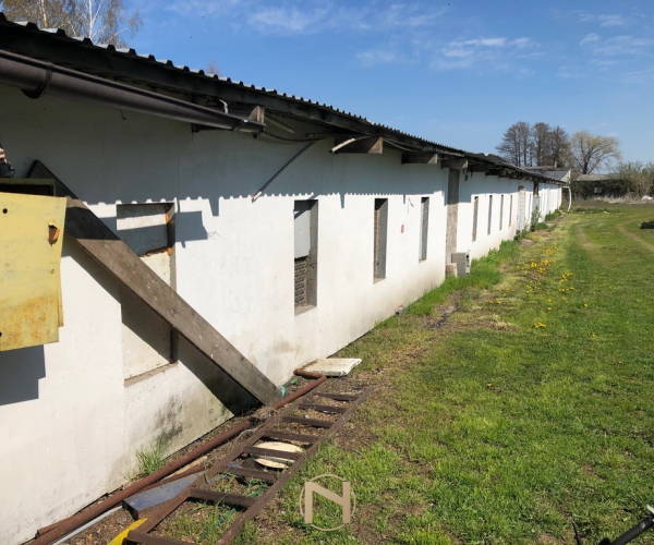 Bogdaniec - 3000 zł (nr 80/710/OOW)