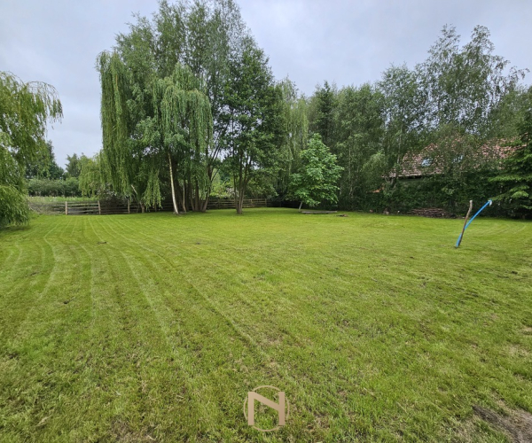 Myślibórz - 290000 zł (nr 159/3120/OGS)