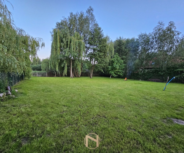 Myślibórz - 290000 zł (nr 159/3120/OGS)