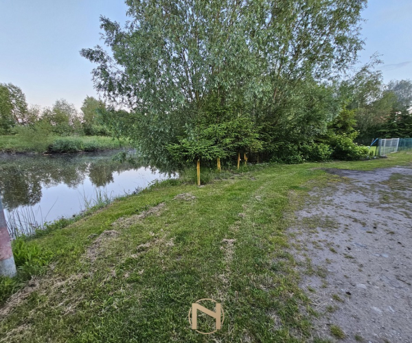 Myślibórz - 290000 zł (nr 159/3120/OGS)