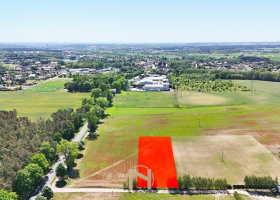 Działka na sprzedaż, Kłodawa - 450 000 zł