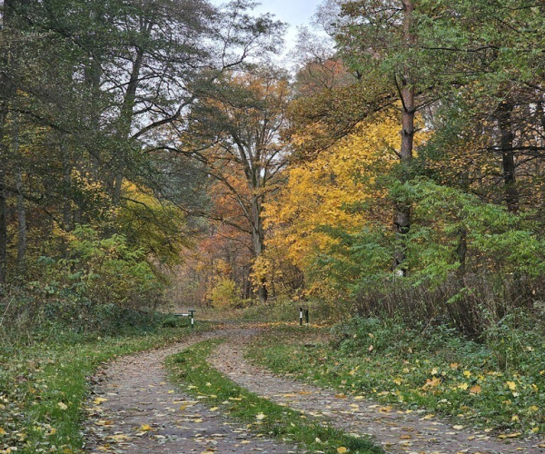 Jenin - 1200000 zł (nr 1019/2562/ODS)