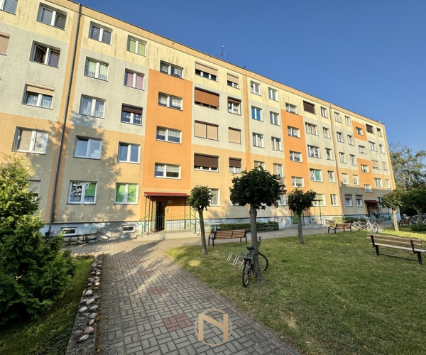Strzelce Krajeńskie - 285000 zł (nr 2995/3070/OMS)
