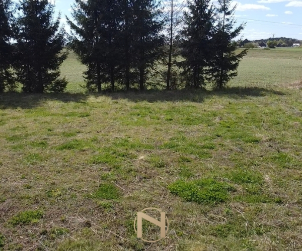 Kłodawa - 360000 zł (nr 790/3504/OGS)