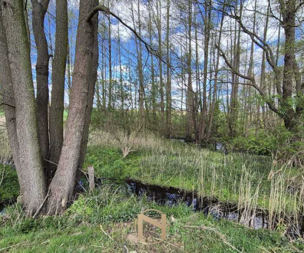 Kłodawa - 360000 zł (nr 790/3504/OGS)