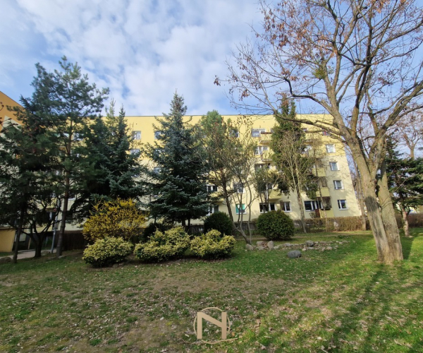 Gorzów Wlkp., Górczyn - 389000 zł (nr 1568/2301/OMS)