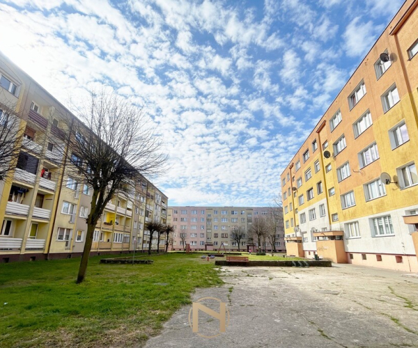 Mieszkanie na Sprzedaż, Dębno - 260 000 zł