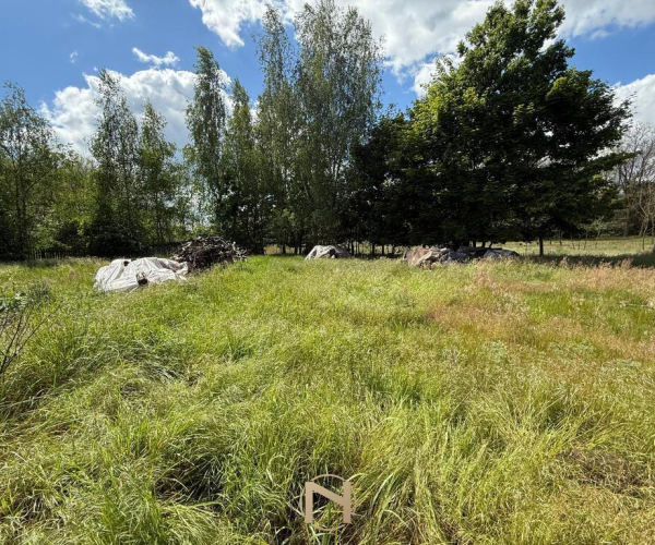 Krzesin - 270000 zł (nr 384/710/ODS)