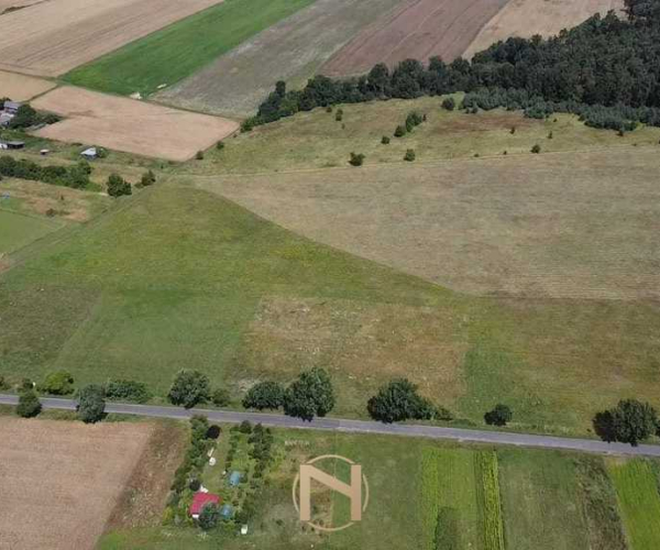 Świniary - 130000 zł (nr 732/3504/OGS)