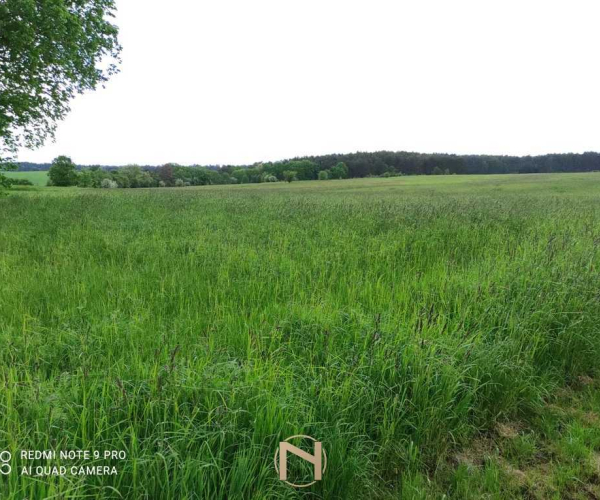 Świniary - 110000 zł (nr 733/3504/OGS)