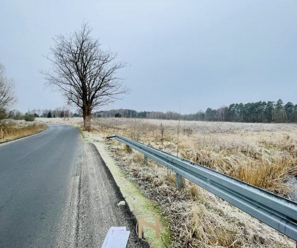 Dąbrowa - 153000 zł (nr 765/3504/OGS)