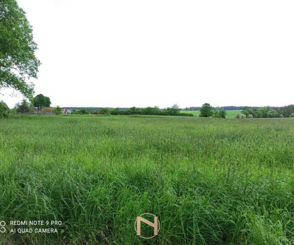 Świniary - 110000 zł (nr 753/3504/OGS)