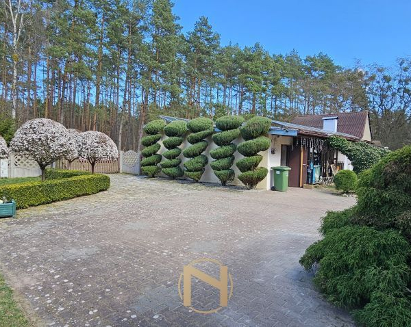 Borówno - 890000 zł (nr 120/3120/ODS)