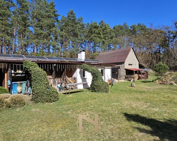 Borówno - 890000 zł (nr 120/3120/ODS)