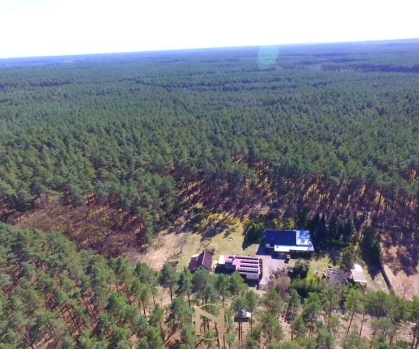 Borówno - 890000 zł (nr 120/3120/ODS)