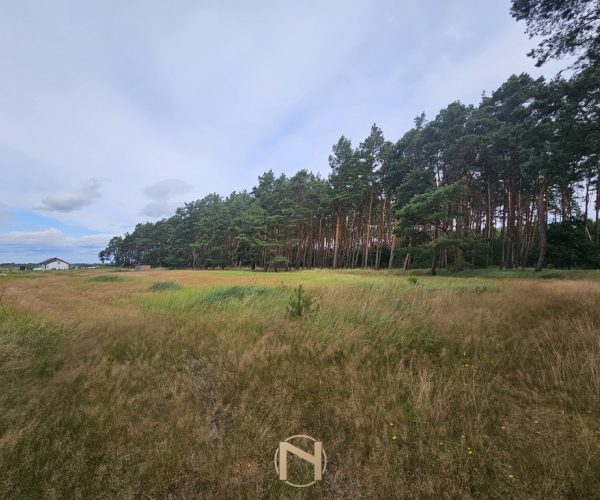 Murzynowo - 54000 zł (nr 1271/2562/OGS)