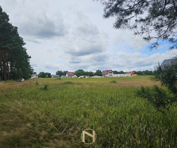 Murzynowo - 54000 zł (nr 1271/2562/OGS)