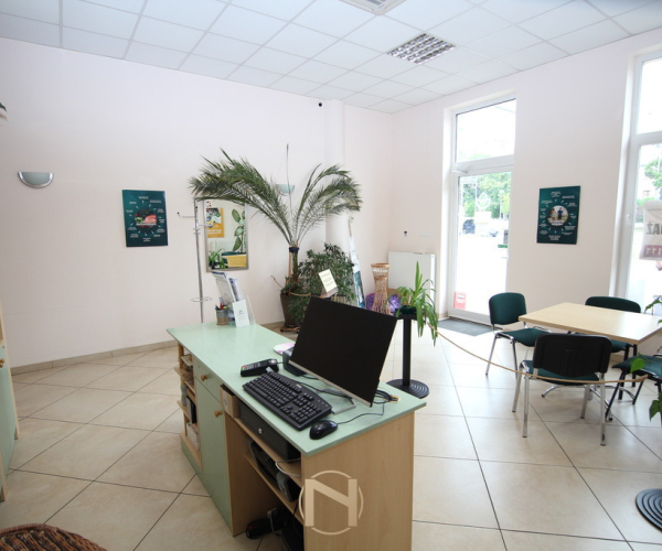 Gorzów Wlkp., Śródmieście - 406000 zł (nr 85/3504/OLS)