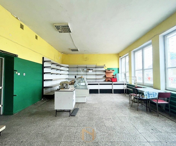 Jeniniec - 159000 zł (nr 72/2055/OLS)