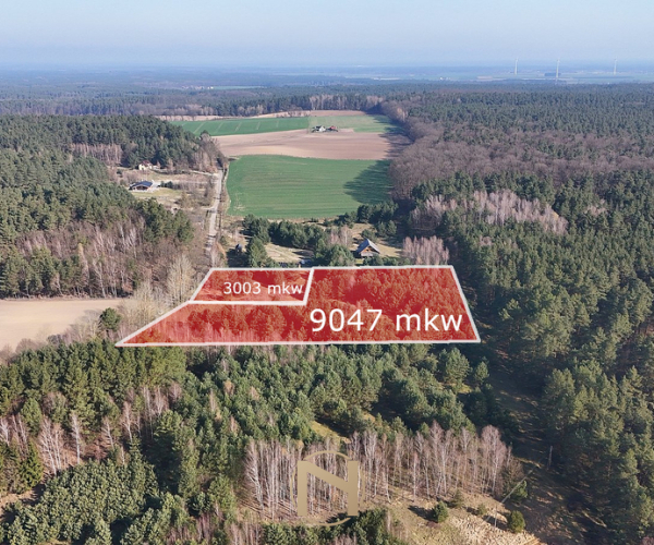 Nowe Dzieduszyce - 329000 zł (nr 252/2055/OGS)