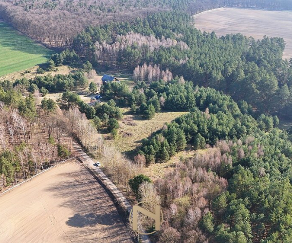 Nowe Dzieduszyce - 329000 zł (nr 252/2055/OGS)