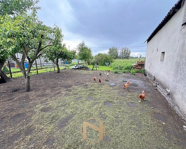Bolemin - 550000 zł (nr 760/2055/ODS)