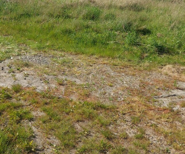 Kłodawa - 950000 zł (nr 494/2287/OGS)