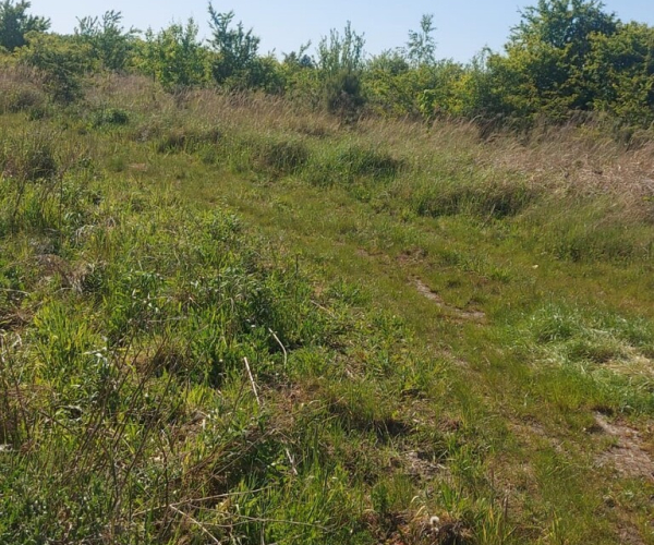 Kłodawa - 950000 zł (nr 494/2287/OGS)