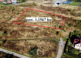 Działka na sprzedaż, Kłodawa - 950 000 zł